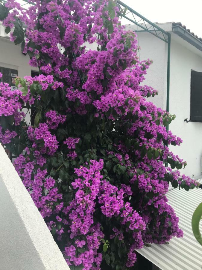 Sara Apartments บาชกาโวดา ภายนอก รูปภาพ